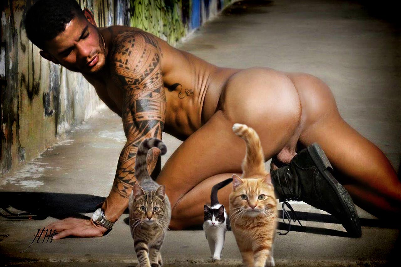pussies